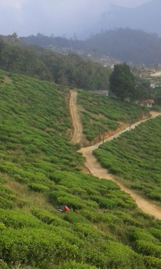 Kirula Green Hotel Nuwara Eliya Extérieur photo